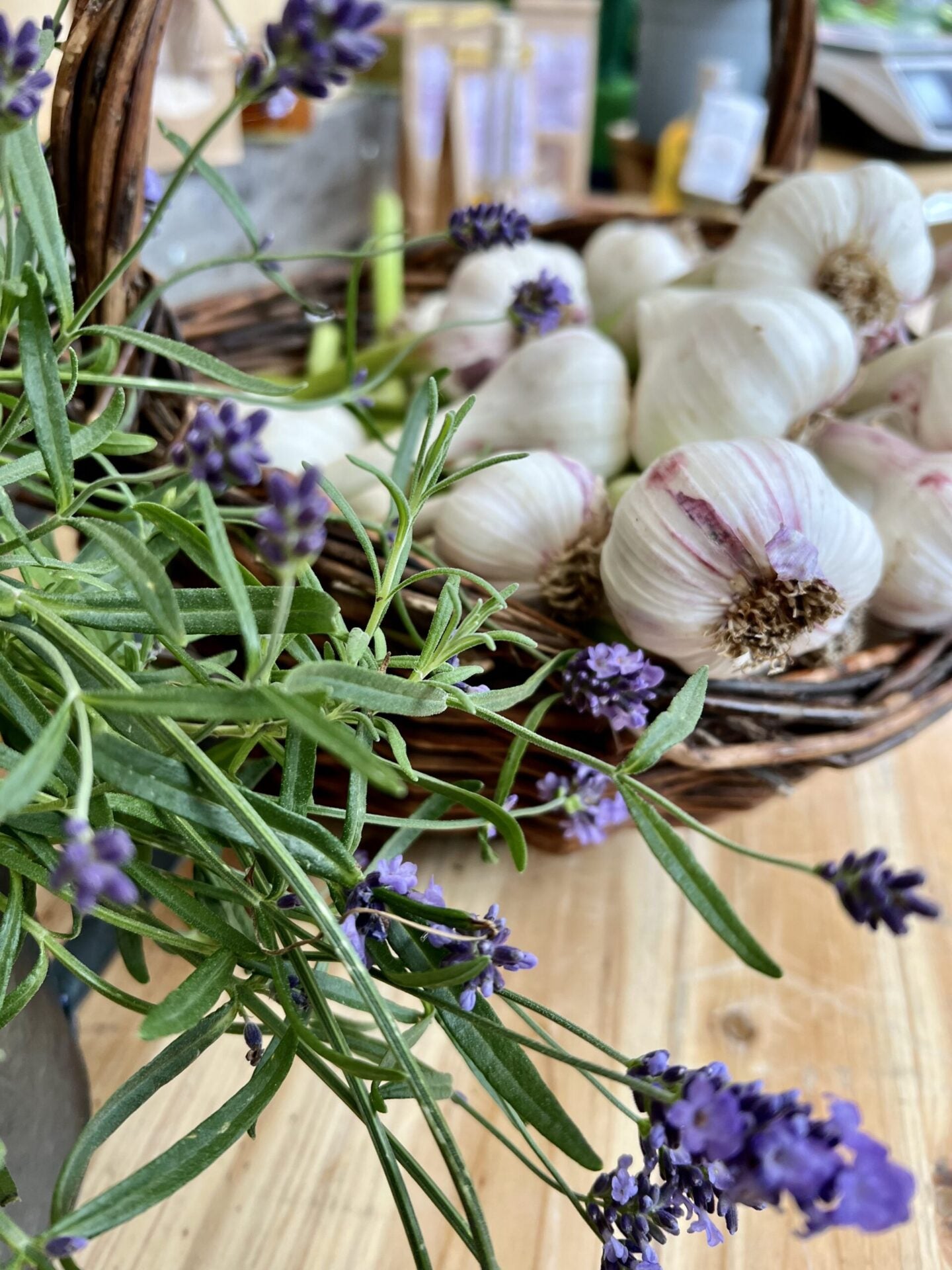 Frischer Deutscher Knoblauch - eigener Anbau - direkt vom Feld - ab Juni