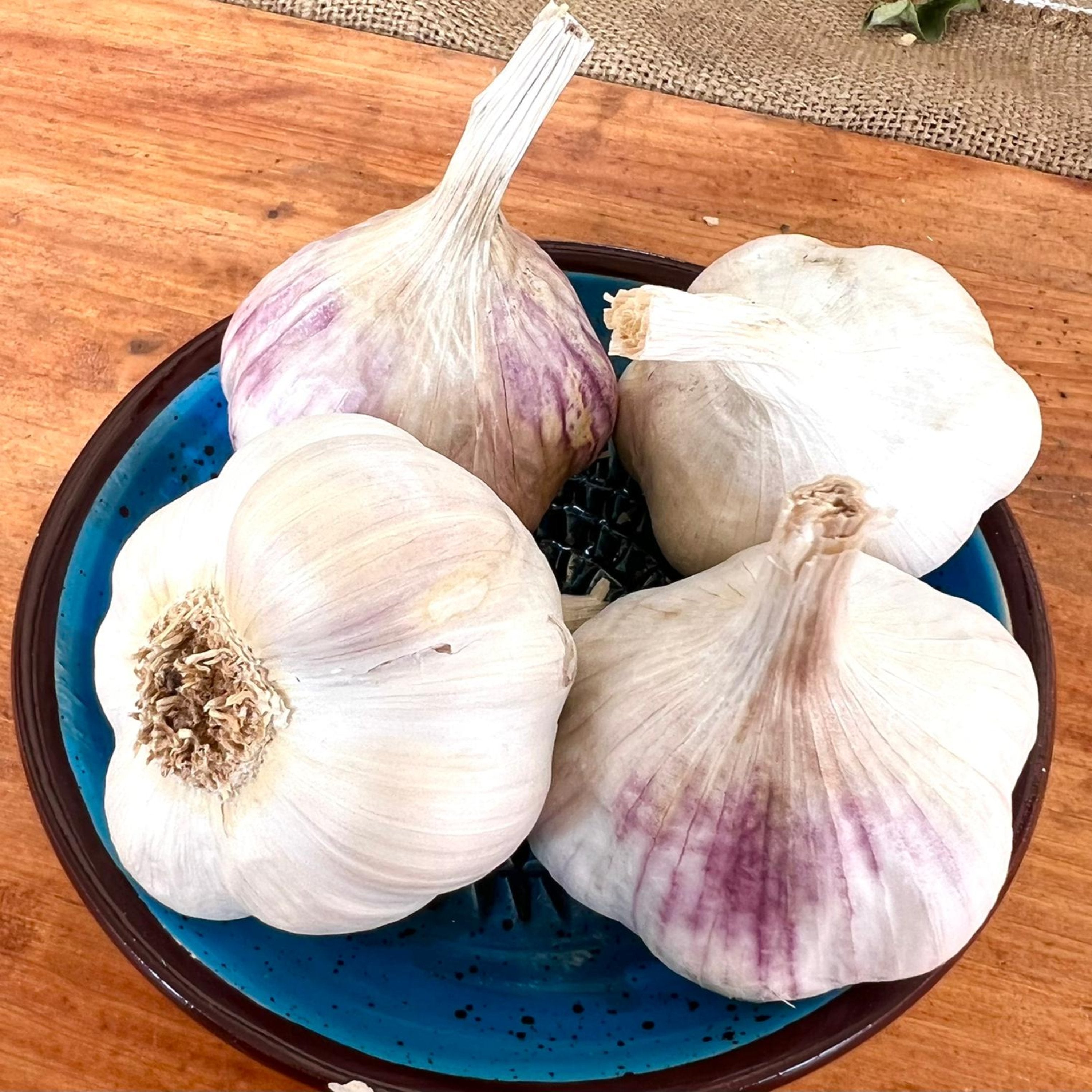 Alte Deutsche Sorte - unser Ursprünglicher wie früher - Knoblauch