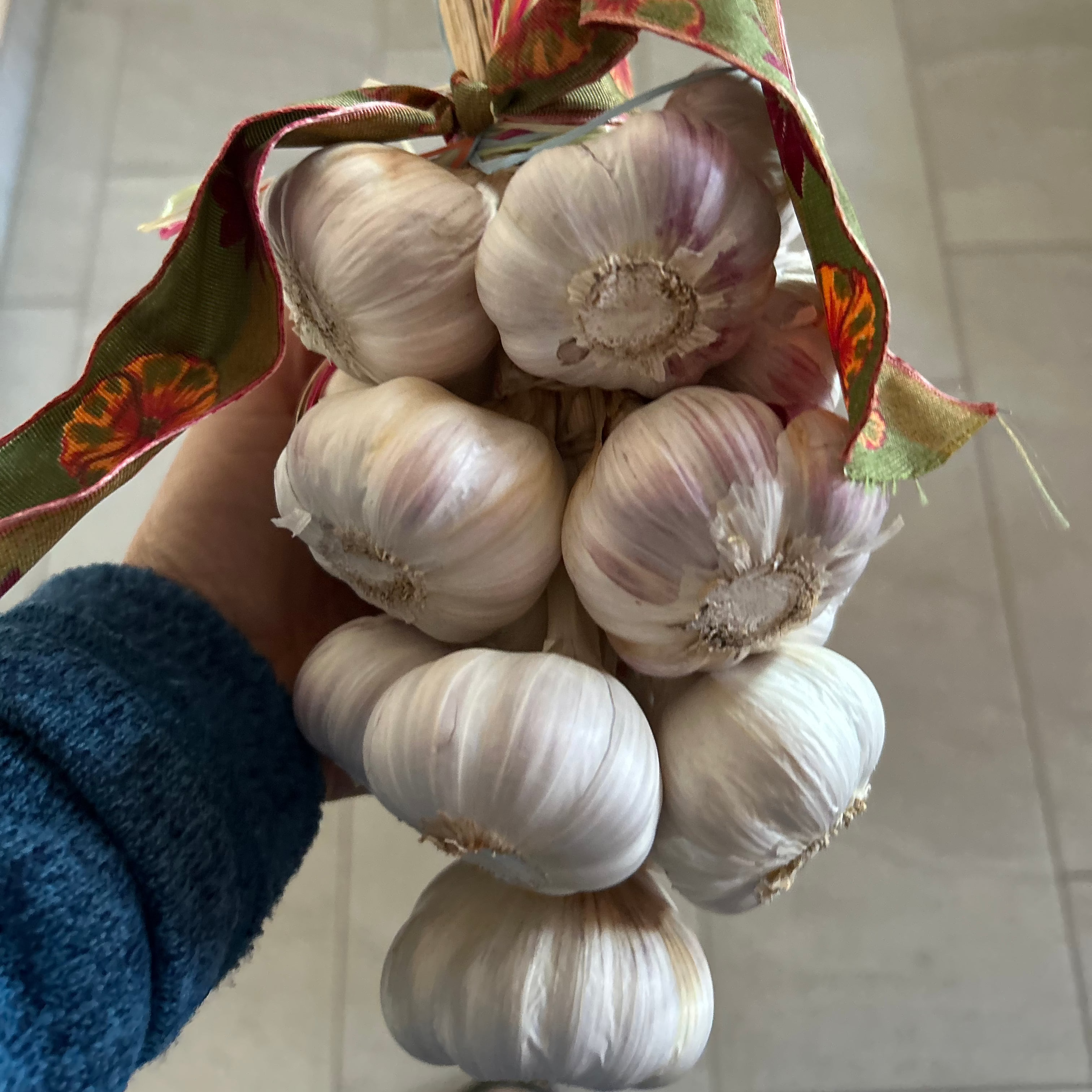 Unser Kraftpaket als handgebundener Knobi-Zopf - sehr lange haltbar