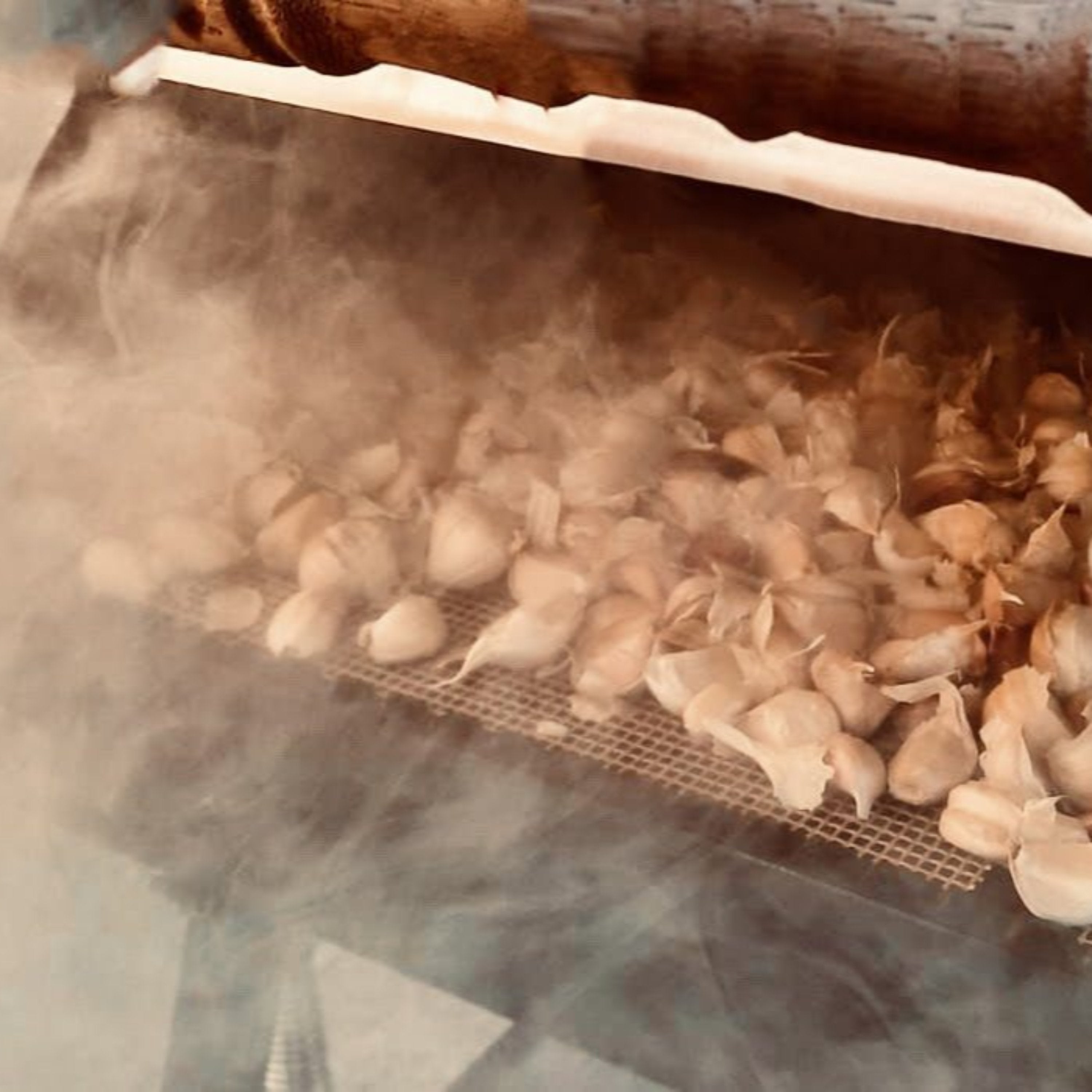 Geräucherter Knoblauch - auf einem Buchenholz geräuchert