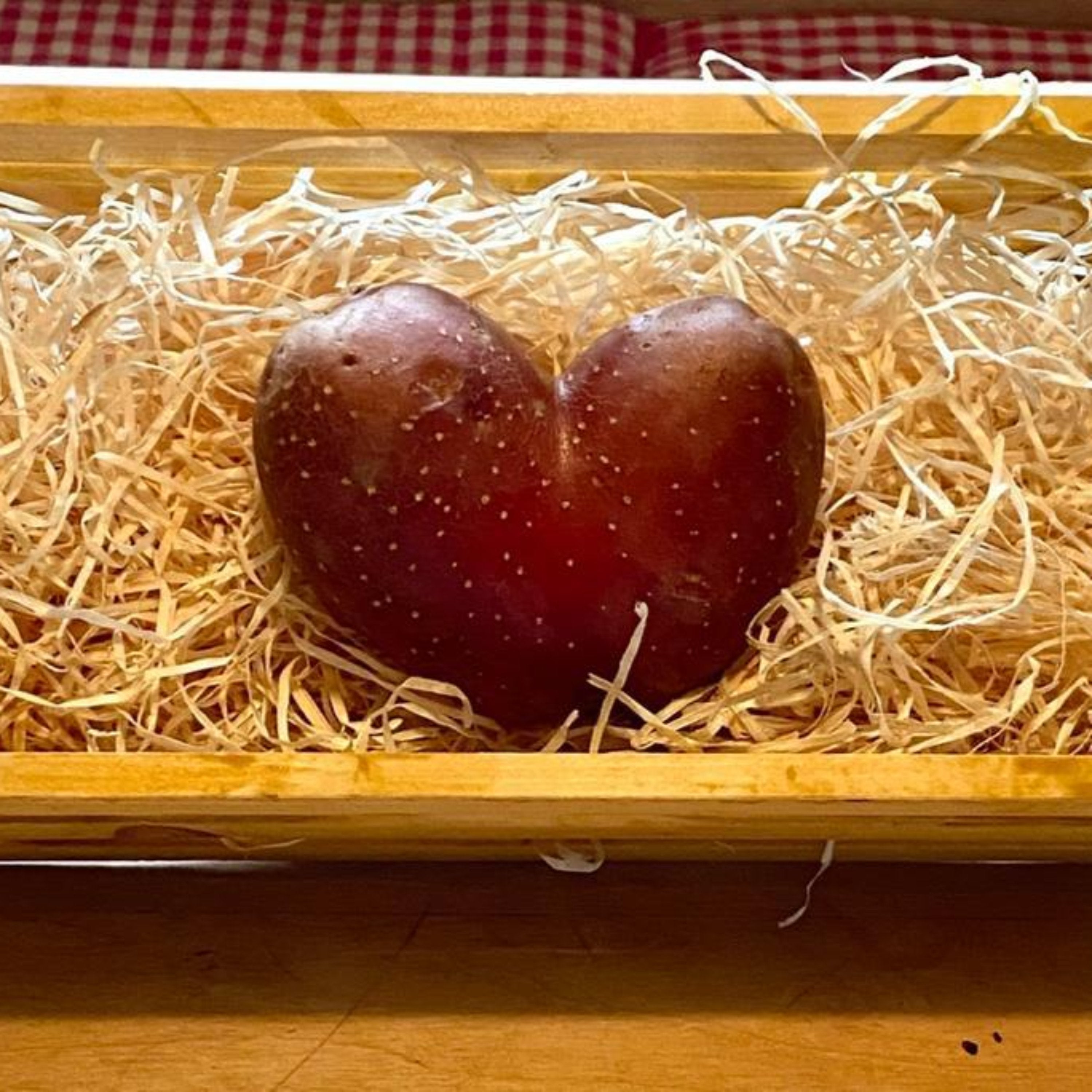 Unsere schöne Rote Laura