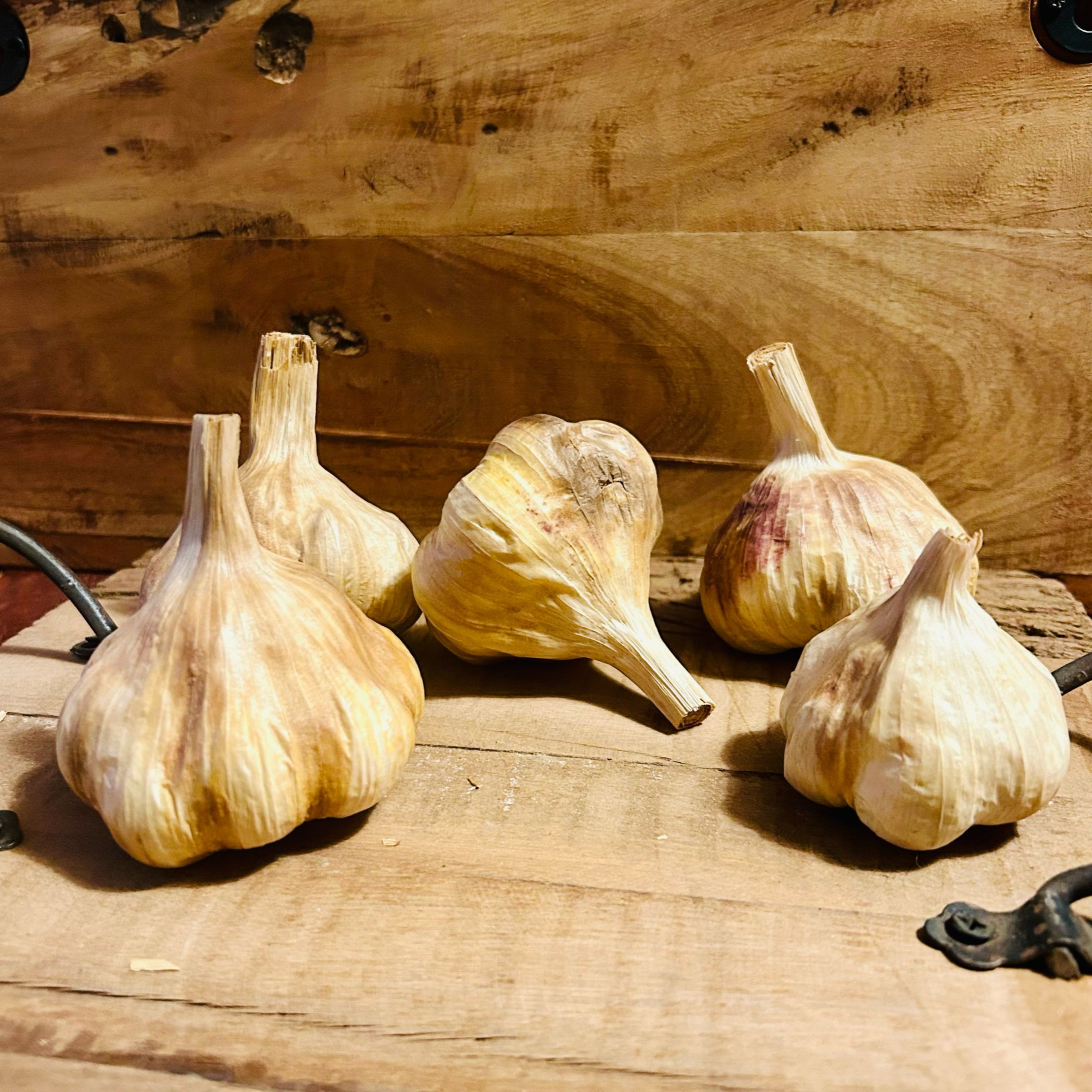 Schwarzer Knoblauch - eigener Anbau & selbst fermentiert - einzigartig in DE - Bio