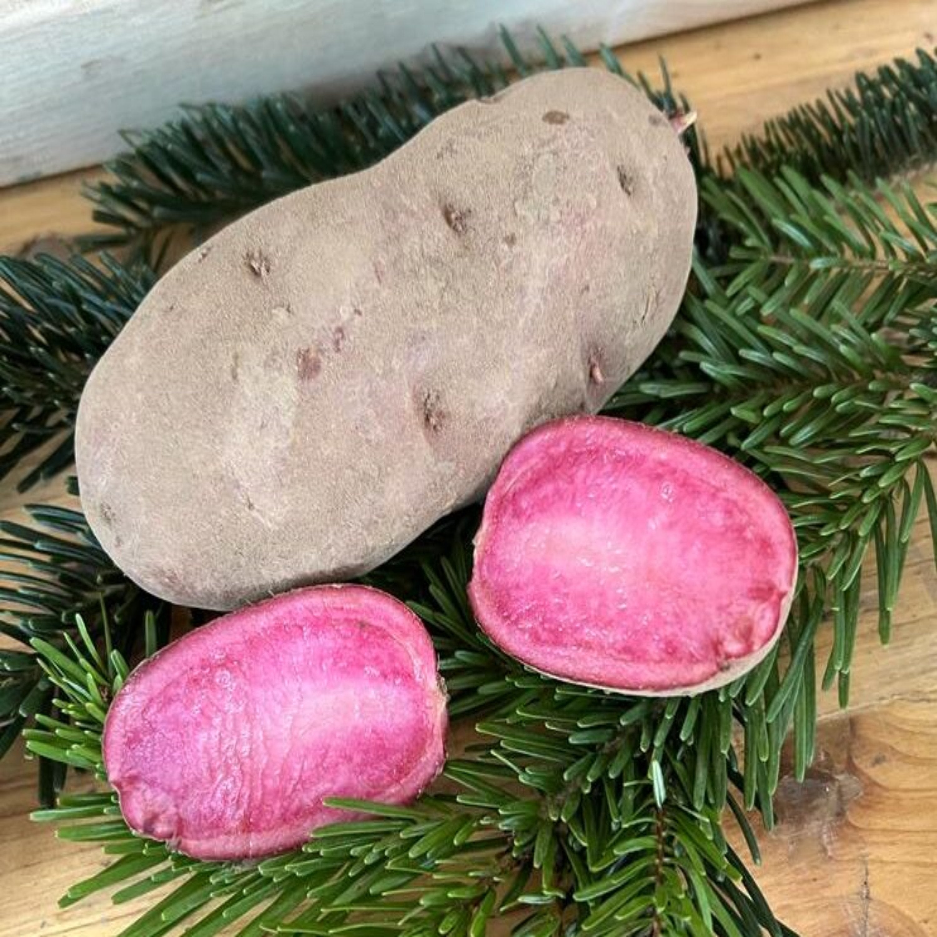 Unsere Rosi - alte Sorte