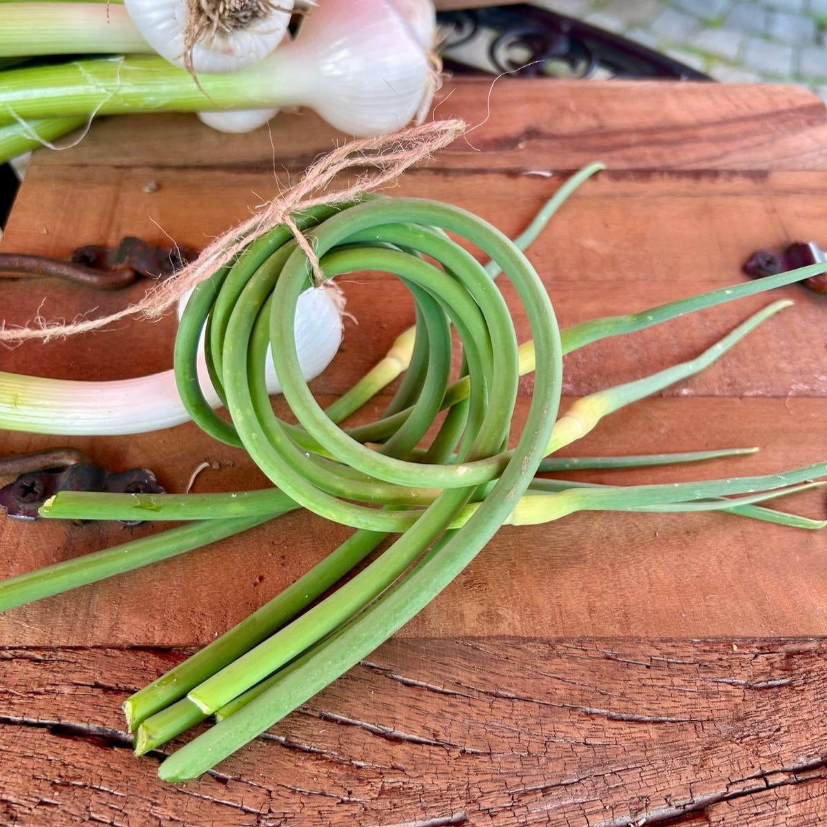 Knoblauch-Blüten-Stängl im Bund 100 gramm