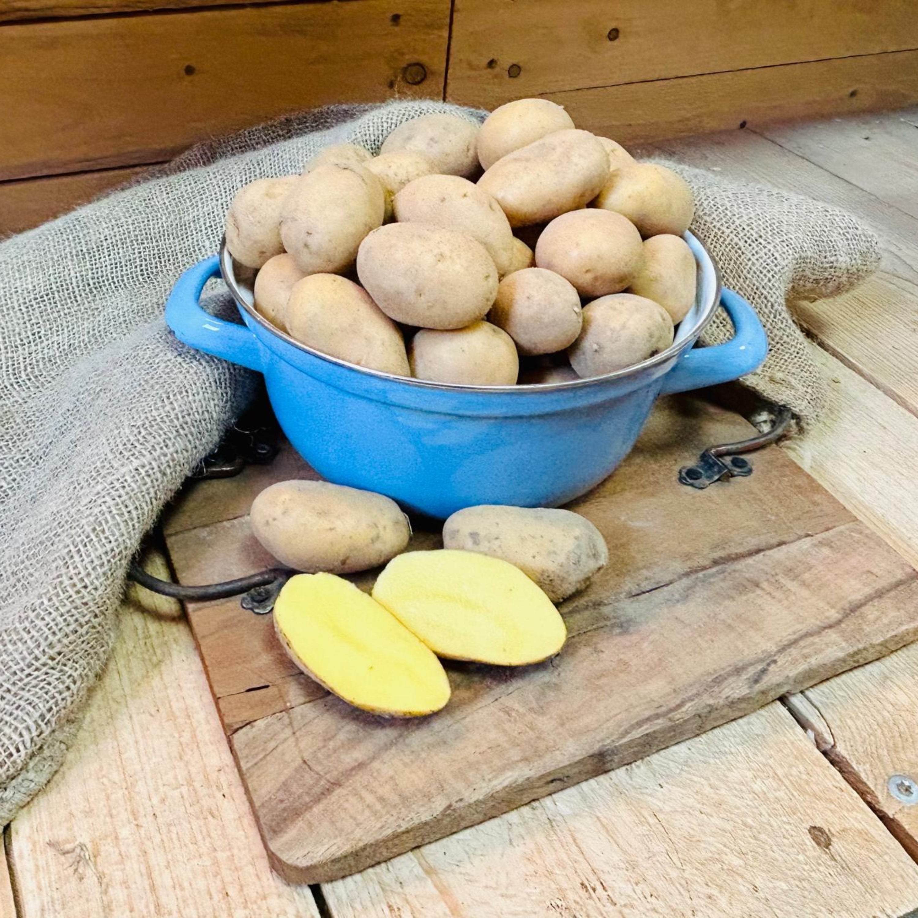 Pellkartoffeln - wunderbar cremig - so lecker - bio