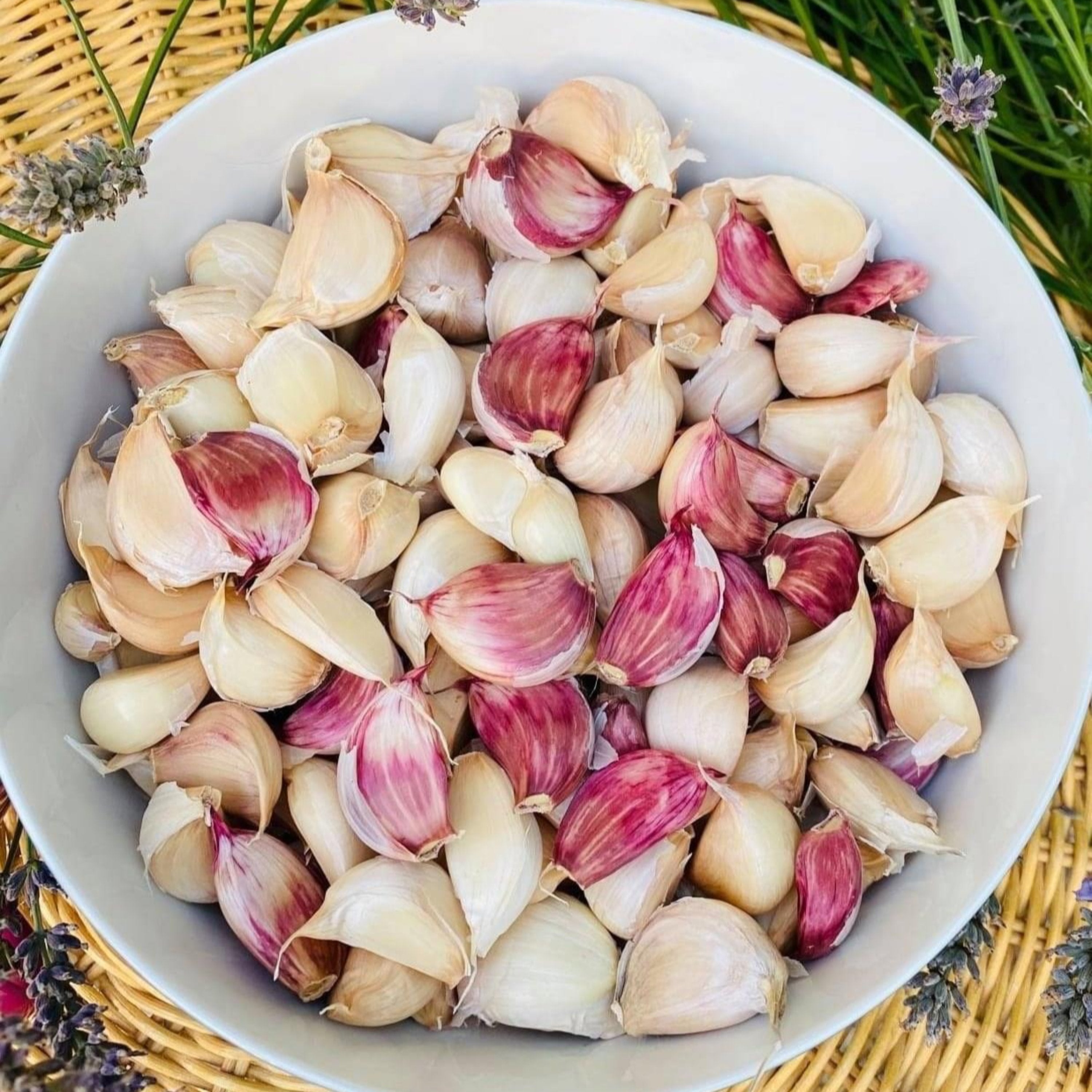 Potpourri aus Köstlichkeiten - einzeln handverlesen - lange haltbar - Knoblauch