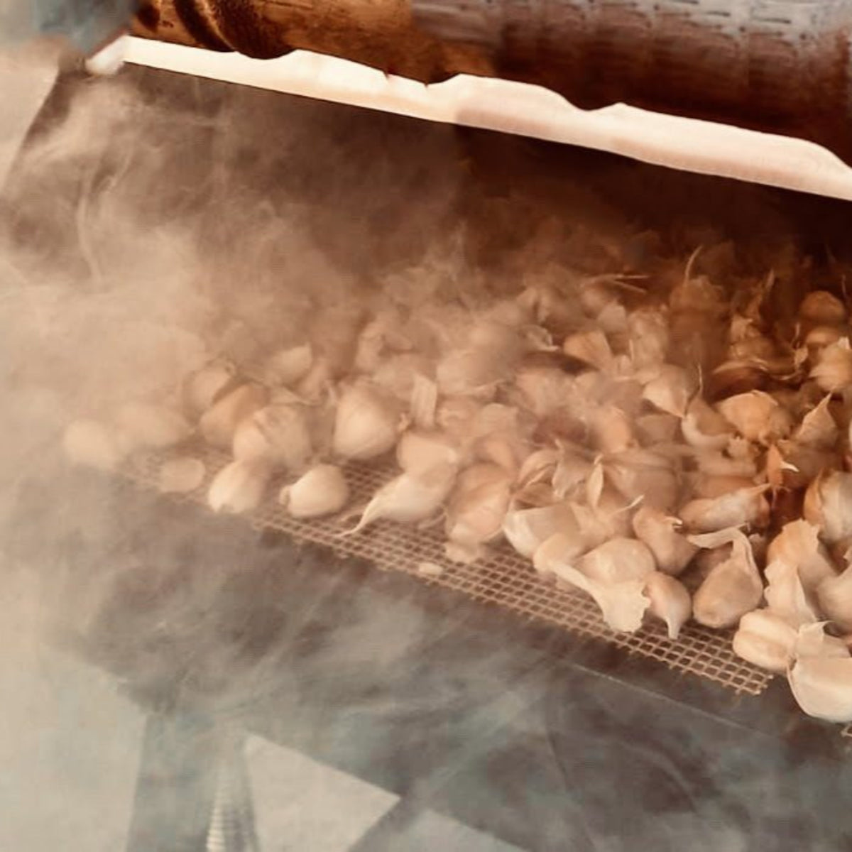 geräucherter knoblauch aufbewahren Geräucherter Knoblauch - auf Eichenholz geräuchert - Bio