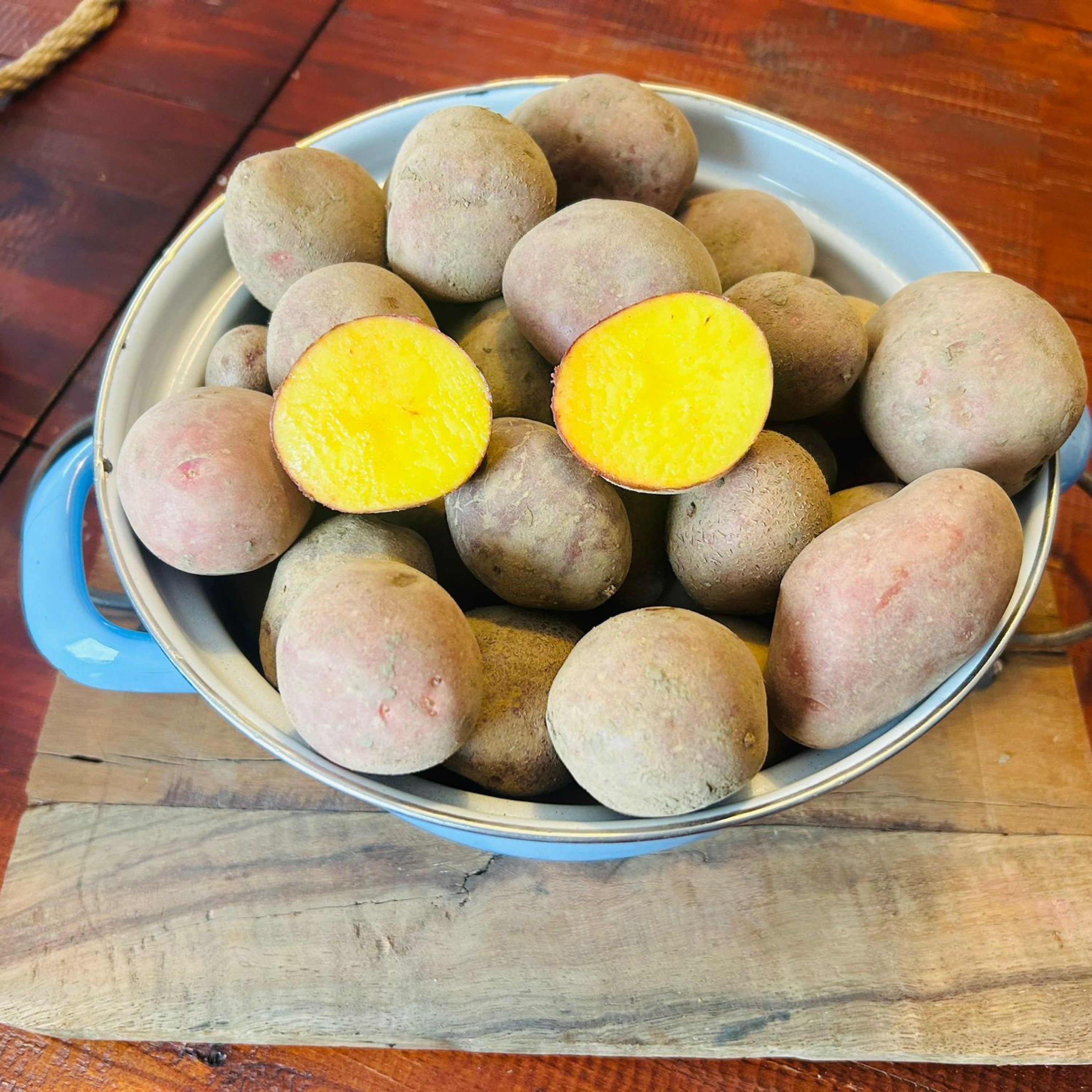 Drillinge von unserer Roten Laura - ein Genuss! bio