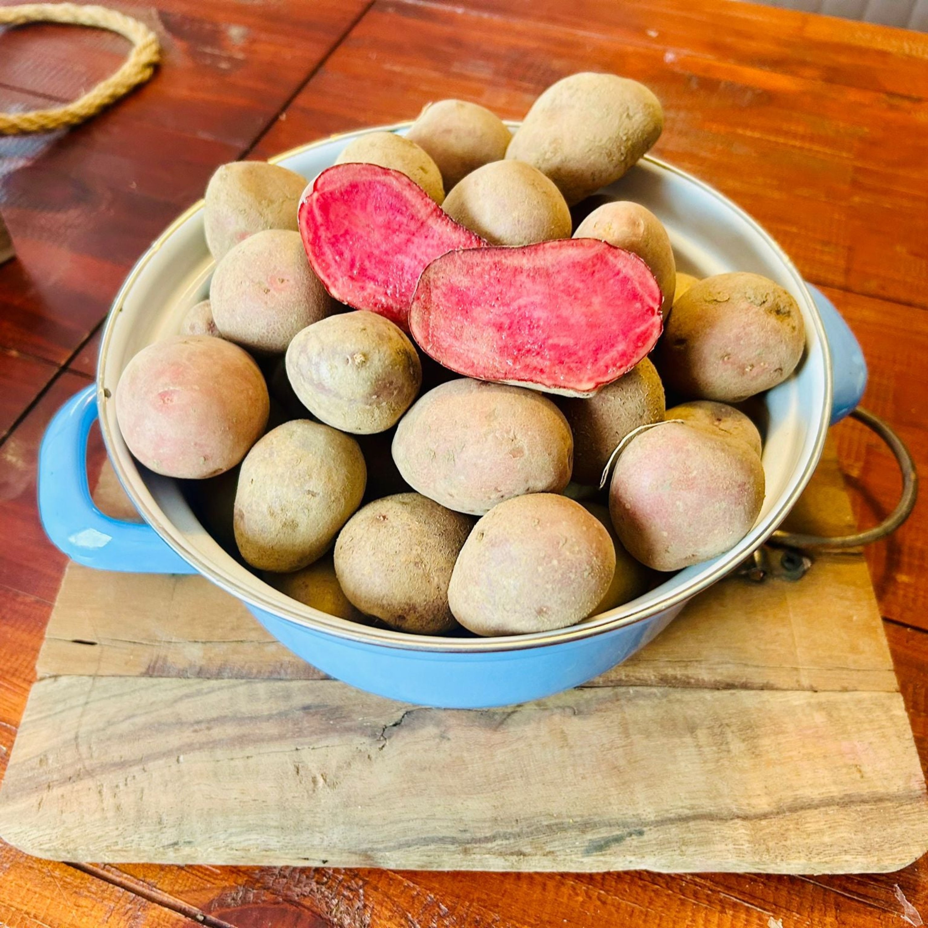 Drillinge von unserer Rosi - alte Sorte - was ganz besonderes - bio