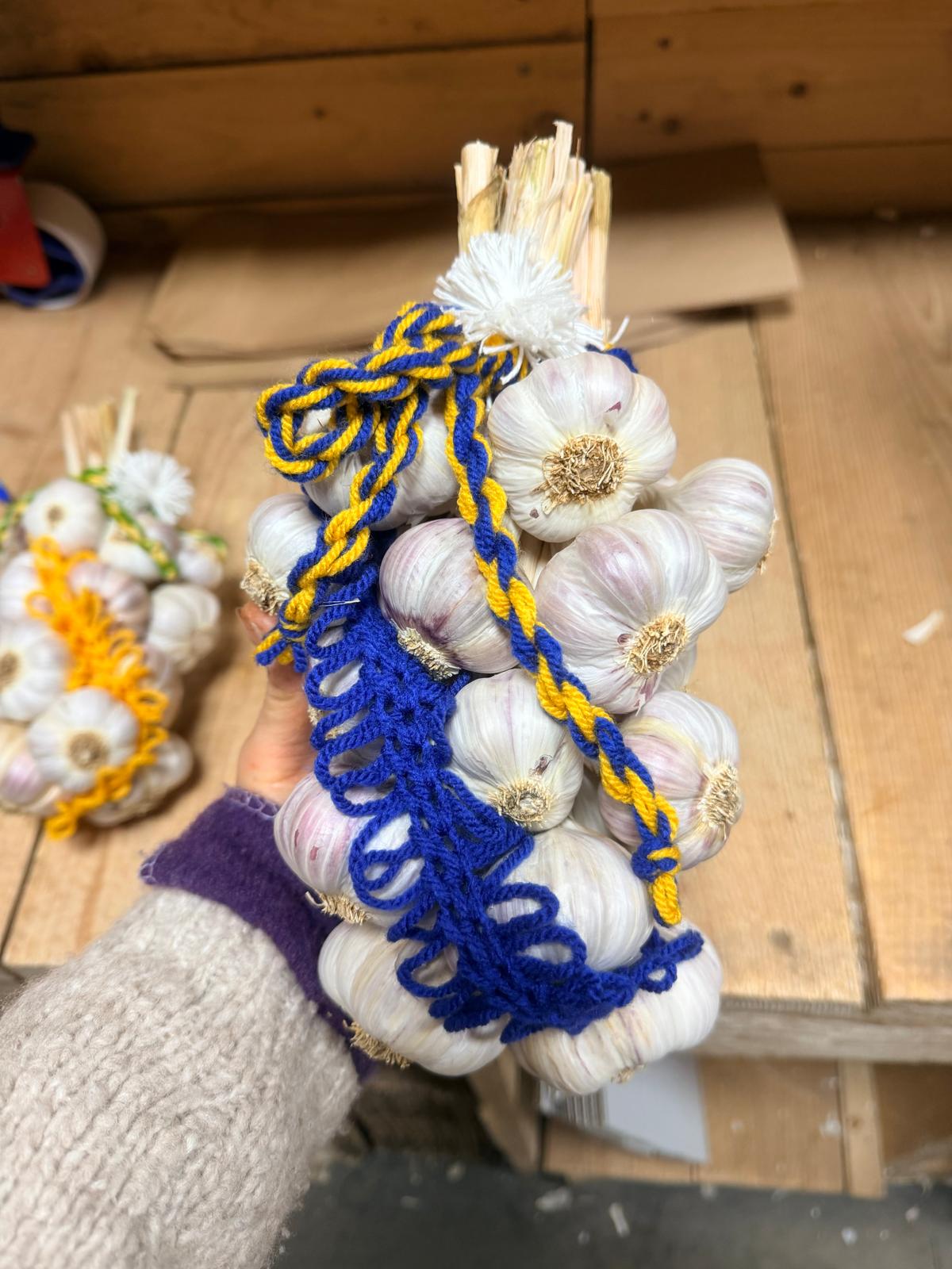 Unser Kraftpaket als handgebundener Knobi-Zopf
