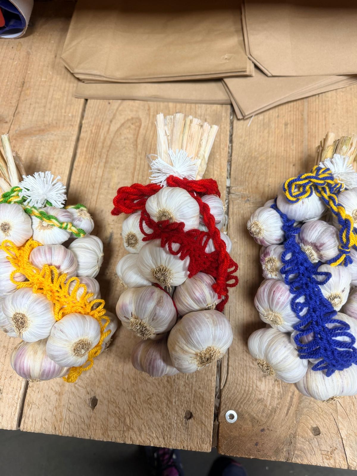 Unser Kraftpaket als handgebundener Knobi-Zopf
