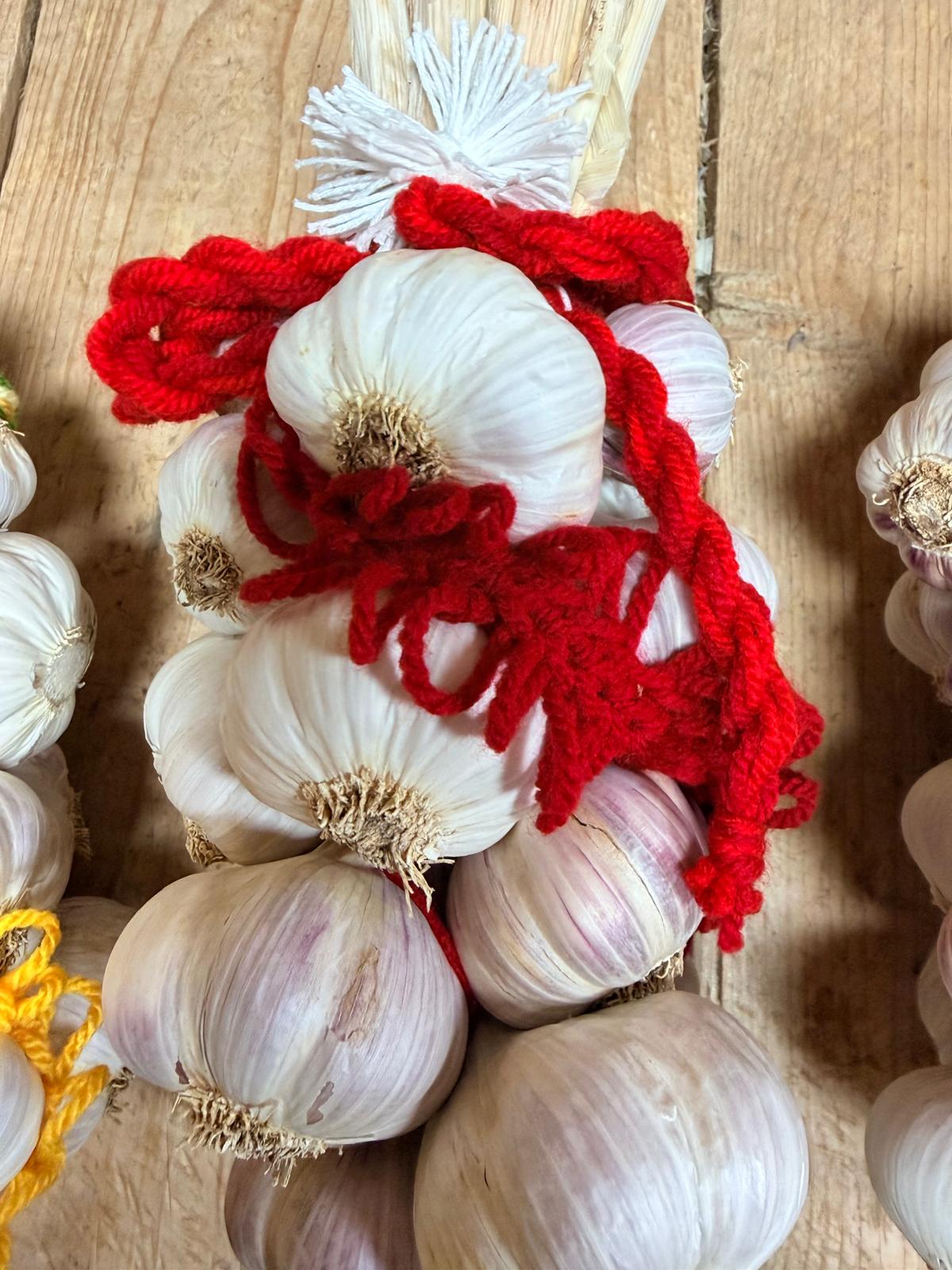Unser Kraftpaket als handgebundener Knobi-Zopf