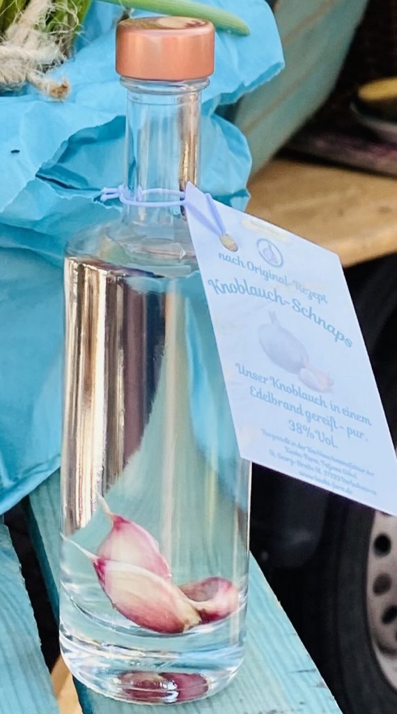 Flasche Knobi-Schnaps mit Knoblauchzehen im klaren Edelbrand und angebundenem Etikett auf blauem Holztisch