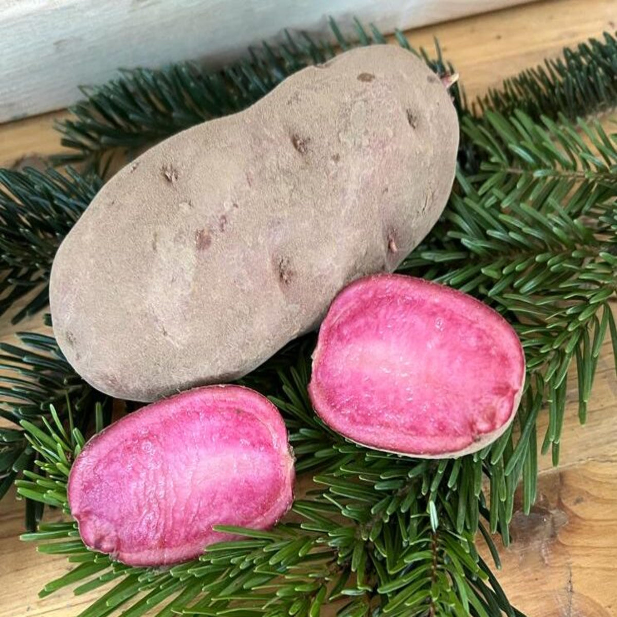 Kartoffel Rosi mit roter Schale, daneben halbierte Knollen mit rosafarbenem Fruchtfleisch auf Tannenzweigen